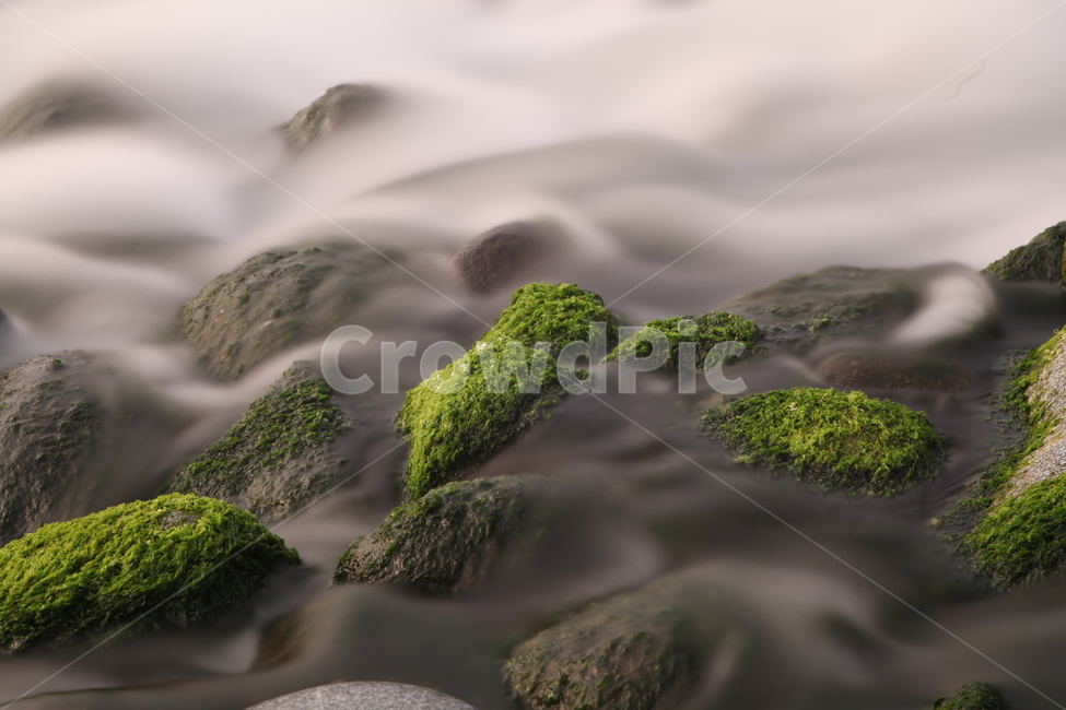 몽돌,바다,노을,경치,파도,자연,풍경,nature,landscape,plant,식물,moss,이끼,algae,조류