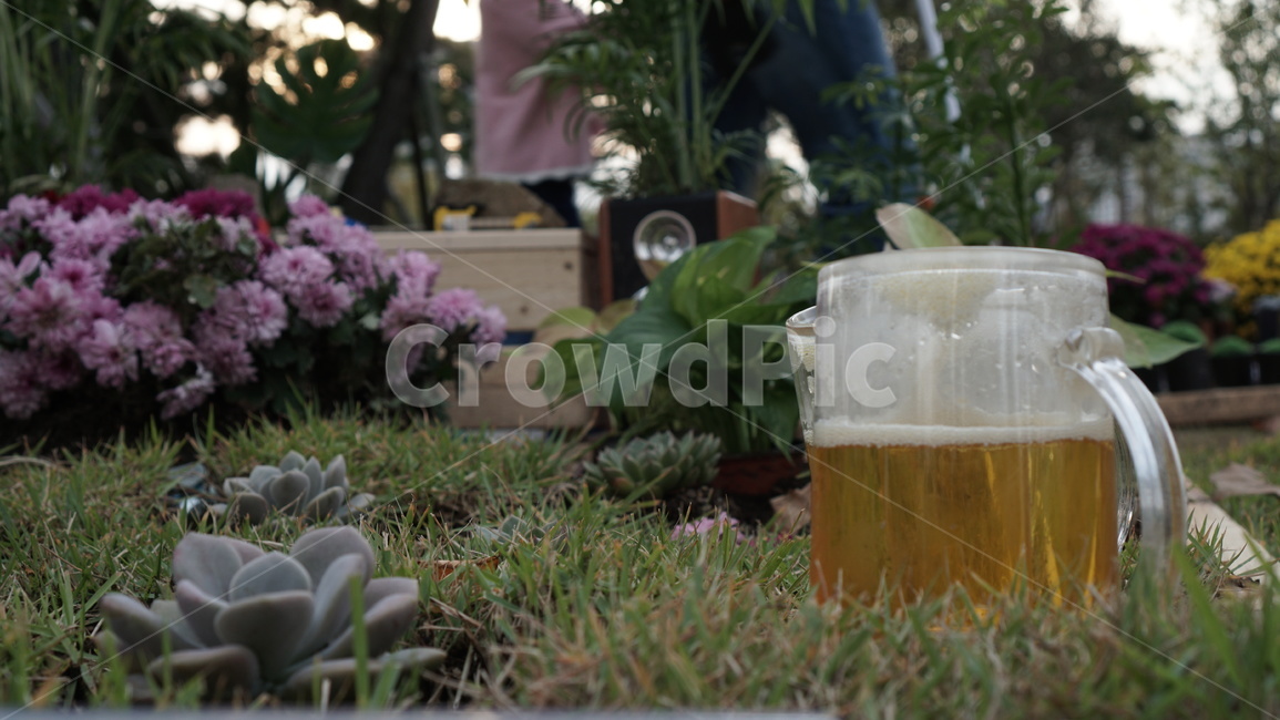 glass,유리,마실것,beer,beerglass,알코올,alcohol,맥주,맥주유리,drink,음주