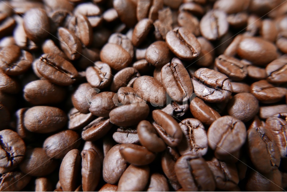 홈카페,커피,원두,espresso,에스프레소,수동머신,수동에스프레소머신,커피,카페,coffee,cafe