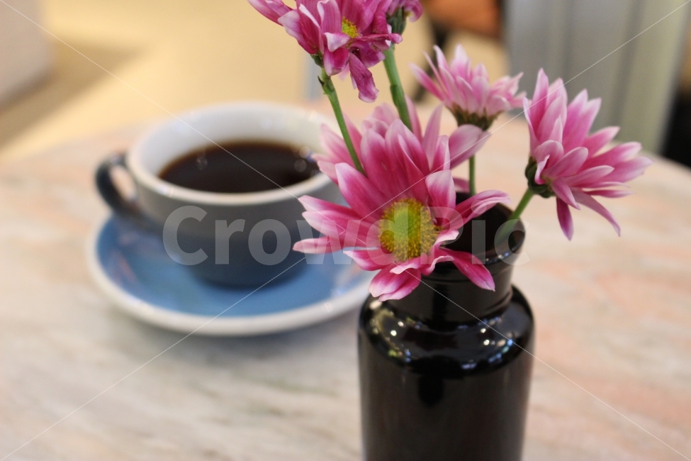 커피,카페,인테리어,맛집,coffee,cafe,소품,꽃,화병,flower,드립커피,머그,커피잔,찻잔,식물,자연,plants,nature,커피,카페,coffee,cafe,꽃,flower