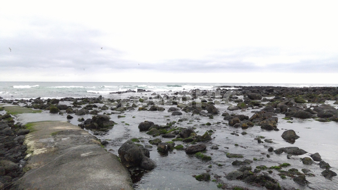 길,제주도,제주,바닥,road,nature,자연,바다,제주바다,바다길,물,sea,한국자연풍경,한국자연경관,korea nature landscape