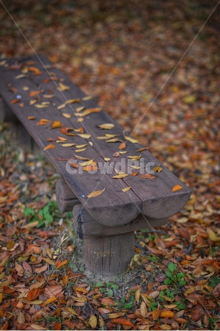 가을,낙엽,벤치,풍경,쉼,단풍,가을,계절,fall,autumn,season,감성,sensible,feeling,furniture,가구