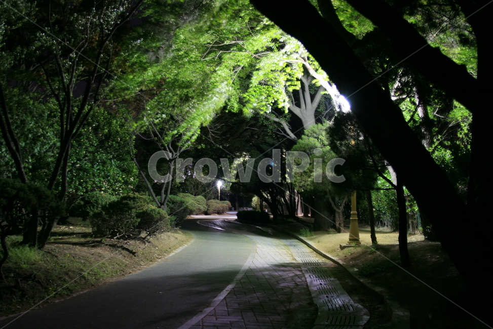 공원,야경,초록색,밤,한적함,여유,자연,풍경,nature,landscape,야경,밤,nightscape,night,outdoors,옥외,garden,정원,arbour,정자
