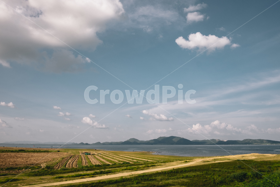 논밭,태국,장소,하늘과밭,농촌,자연,풍경,nature,landscape,해외,외국,세계,foreign,oversea,world,세계자연풍경,해외자연풍경,외국자연풍경,world nature landscape,outdoors,옥외,weather,날씨