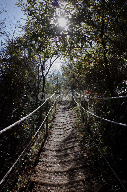 outdoors,옥외,landscape,경치,nature,자연,scenery,풍경,hill,언덕,road,길,도로,dirtroad,흙길