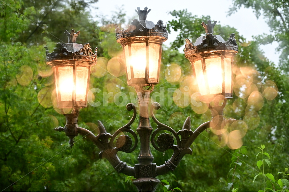 가로등,빛,light,보케,lamp,비,빗방울,rain,야경,밤,풍경,nightscape,night,landscape