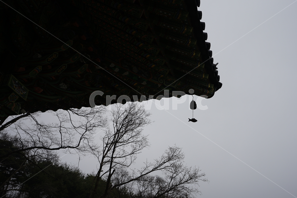 절,사찰,분위기,흑백사진,흑백,종교,전통,믿음,느낌,감성사진,감성,한국전통,한국문화,korean traditional,korean culture,종교,신앙,religion,belief,faith,흑백,모노톤,monochrome,black and white