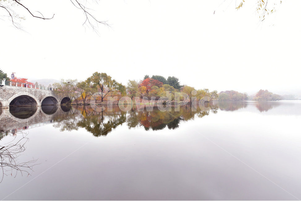 가을,가을풍경,단풍,호수,반영,nature,자연