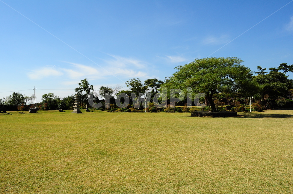 잔디,나무,자연,풍경,자연풍경,자연,풍경,nature,landscape,grass,plant,식물,lawn