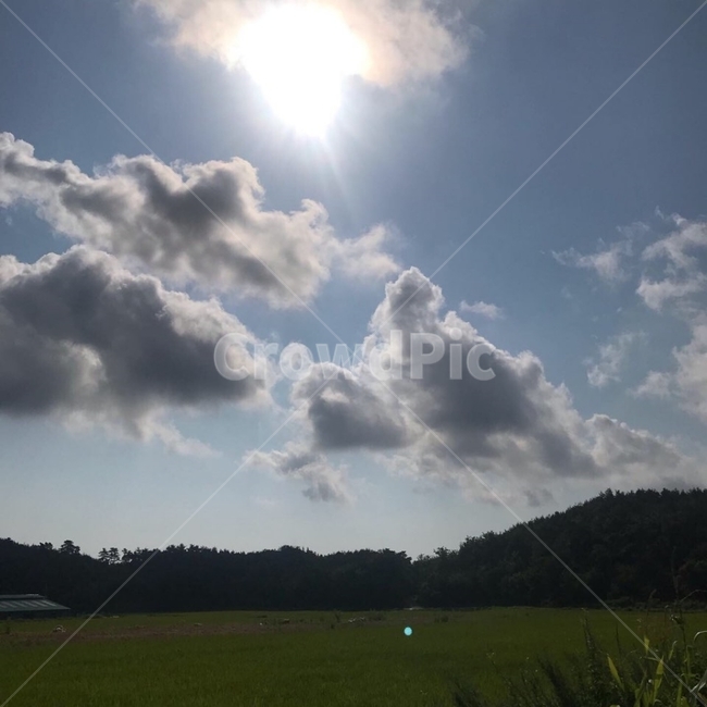 햇빛,자연,구름,밭,맑은날,화창한날,자연,풍경,nature,landscape,outdoors,옥외,flare,플레어,light,빛