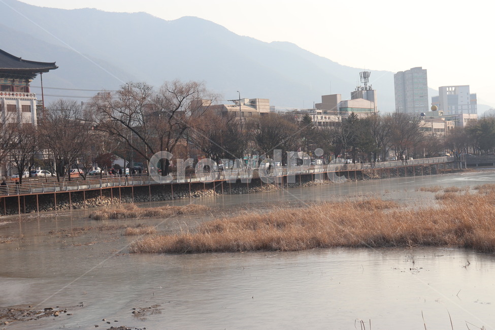 풍경,공원,성당못,두류공원,대구