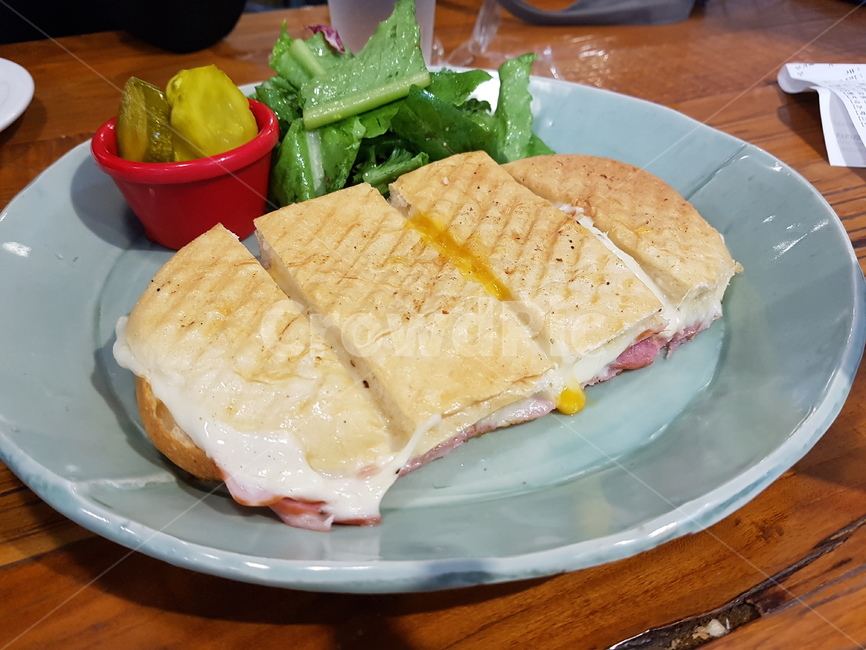 파니니,샌드위치,음식,빵,플레이팅,카페,브런치,요리,food,meal,brunch,디저트,간식,후식,dessert,snack,foodreserves,dishes,아침식사,조식,브런치,breakfast,brunch