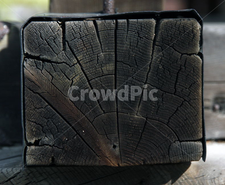 자연,나무,갈라진나무,가공된나무,목재,tree,nature,wood