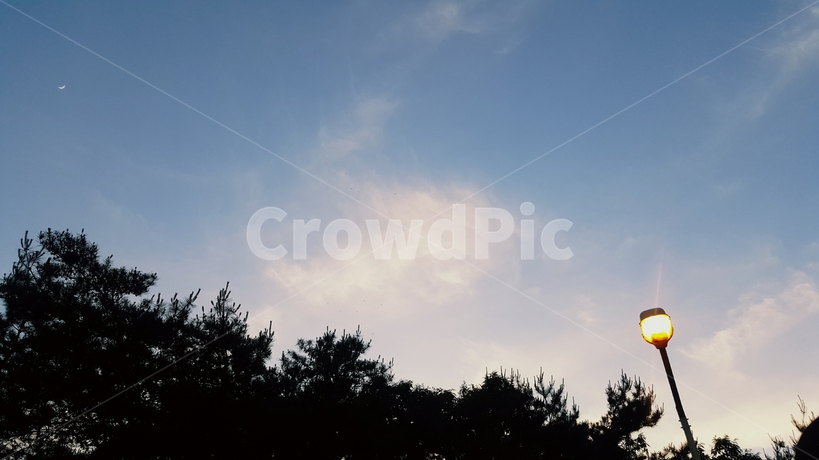 노을,하늘,가로등,불빛,구름,봄,추억,풍경,daily,dailyroutine,cloud,sky,tree,나무,healing,힐링,spring,sunset,streetlamp,landscape,memory
