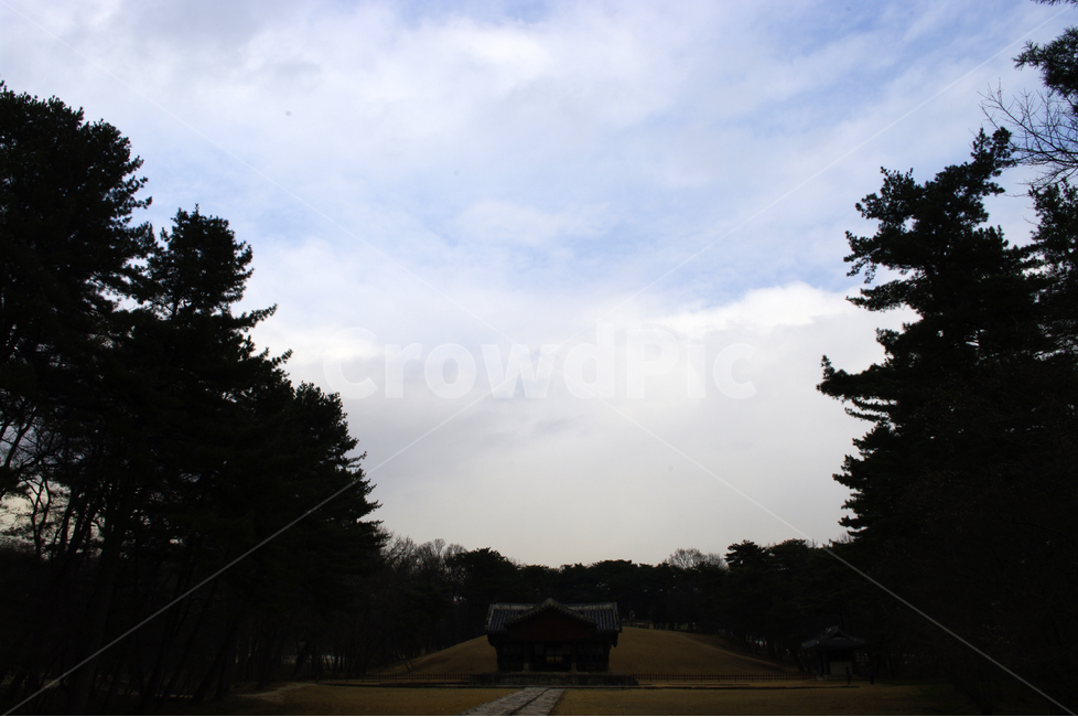 왕릉,풍경,한국,세계문화유산,전각,하늘,전통,릉,한국전통,한국문화,korean traditional,korean culture,랜드마크,landmark,tourist attraction,한국랜드마크,한국관광지,한국명소,korea landmark,korea tourist attraction