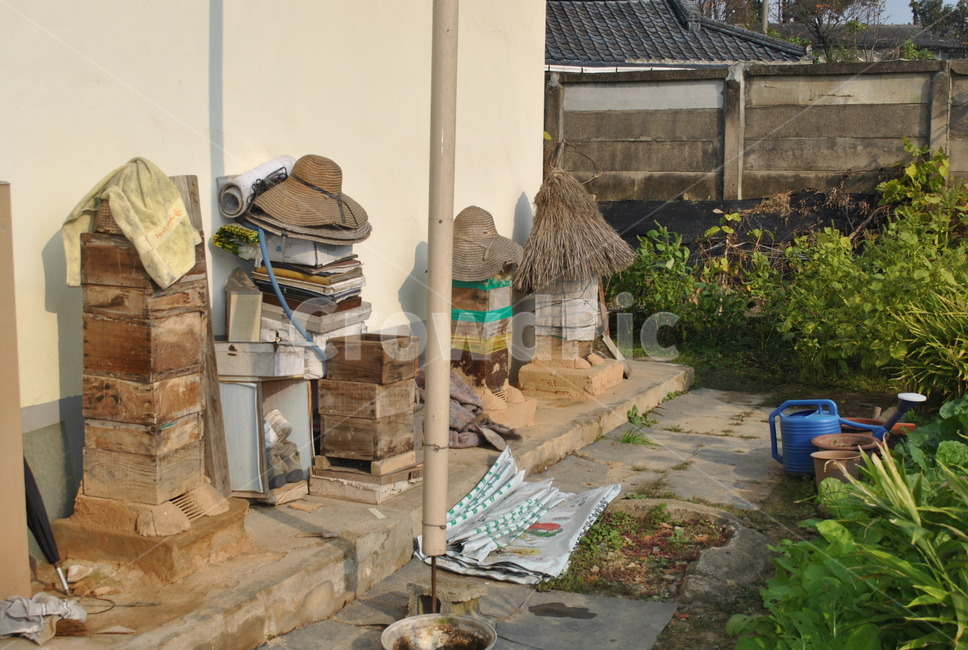 시골,햇살,벌집,자연,배경,시골,마을,풍경,landscape,country,rural,town
