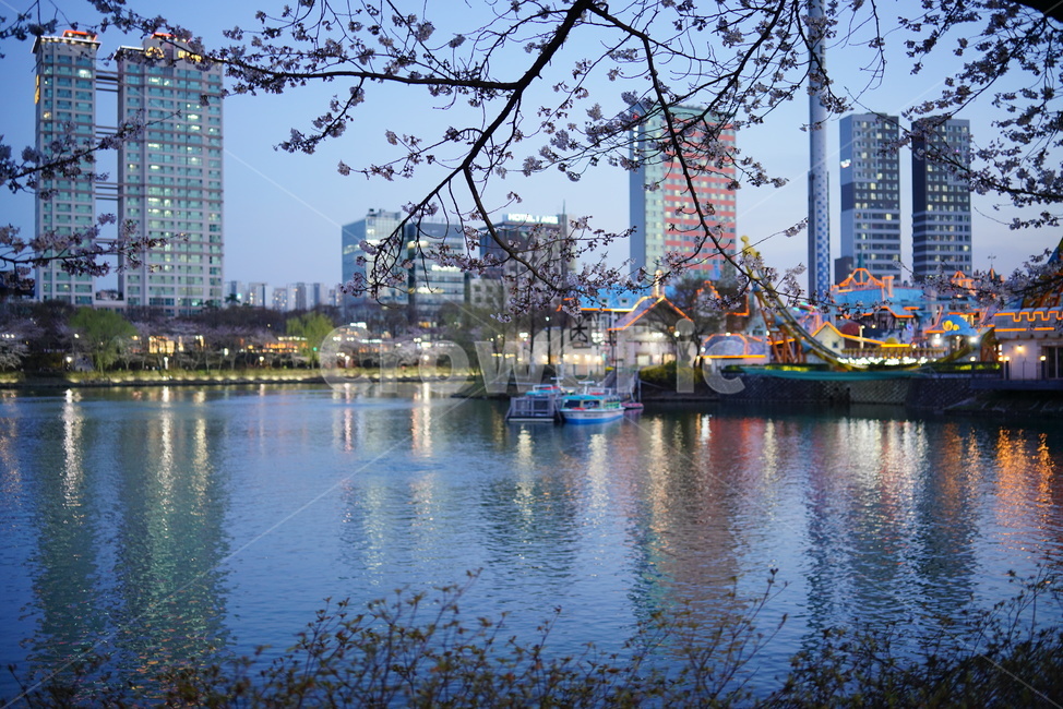 석촌호수,벚꽃,석촌,호수,풍경,도시,풍경,city,landscape,water,물
