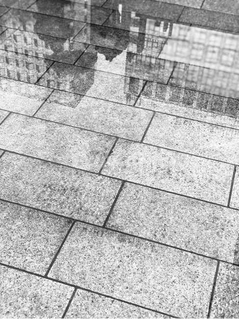 흑백,비,물거울,우산,도보,빌딩,흑백,모노톤,monochrome,black and white