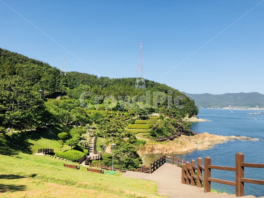 자연,나무,바다,풀,초록,nature,자연,풍경,nature,landscape