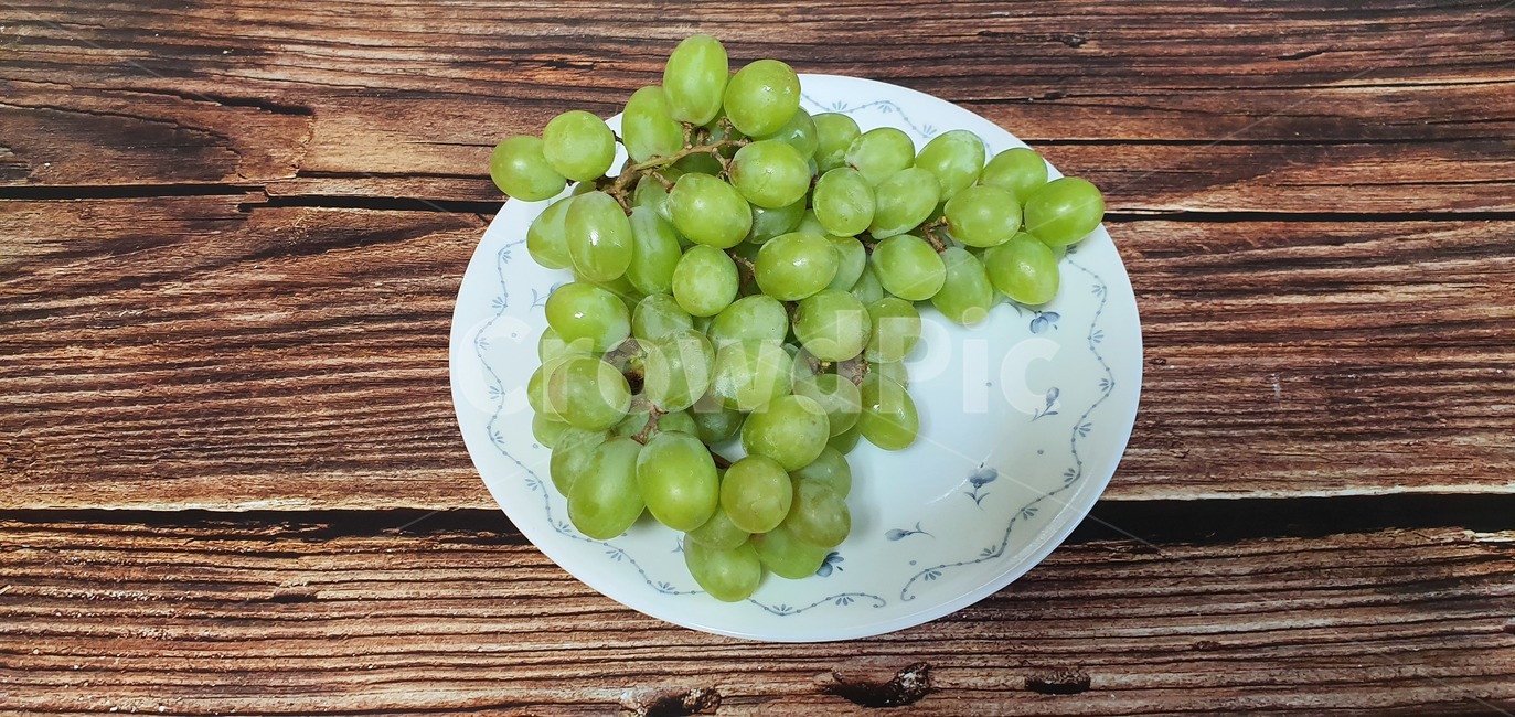 초록,청포도,신선,달콤,green,grape,sweet,fresh,bunch,background,nature,white,healthy,vine,isolated,nutrition,winery,berry,juice,summer,autumn,leaf,diet,harvest,dessert,juicy,ripe,agriculture,health,natural,delicious,bright,plant,식물,fruit,과일,food,음식,grapes,포도,과일,열매,fruit