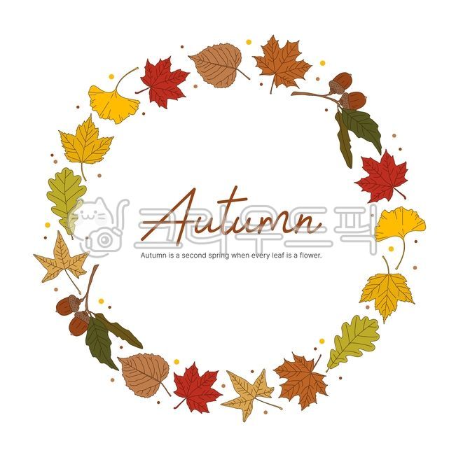 plane,november,symbol,ginkgoleave,sign,acorn,Maple leaf,mountain,ginkgo leaves,leaves,drawing,season,decoration,element,border,grow,shape,natural,hand drawing,tree,decorative,fallenleave,background,plant,october,autumn,colorful,card,frame,forest,clipart,s