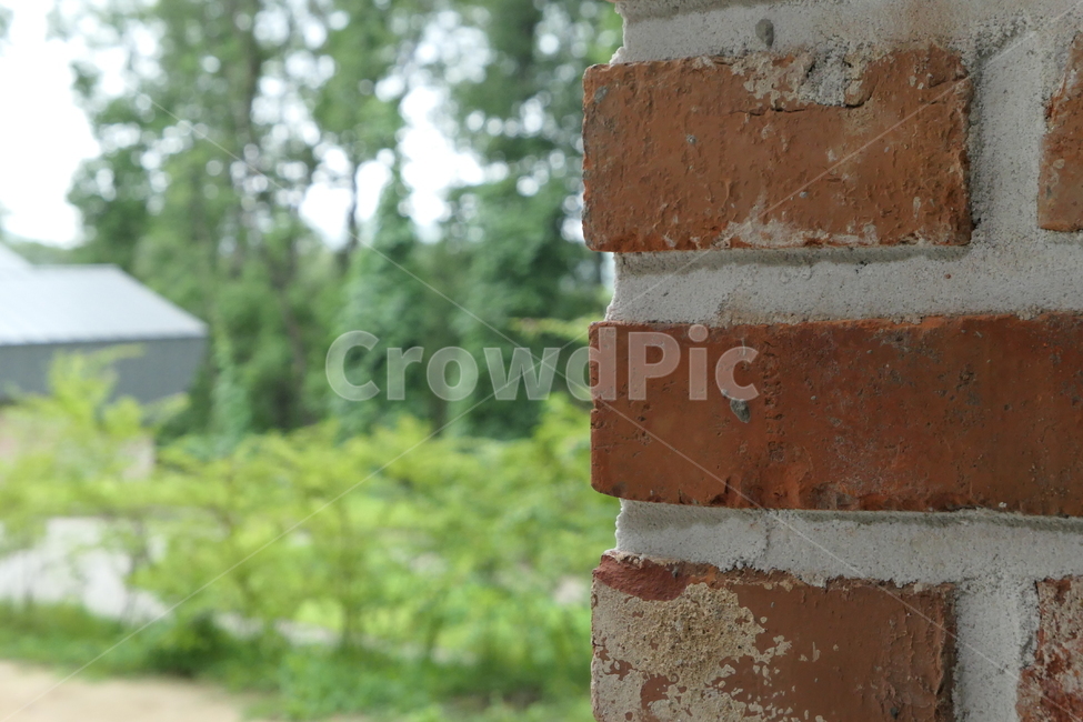 벽돌담,벽돌,brick,벽돌벽,벽돌벽너머,벽돌자연,자연,벽돌벽초점
