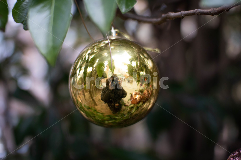 크리스마스,황금색,크리스마스장식,반사체,트리,메리크리스마스,성탄절,merry christmas