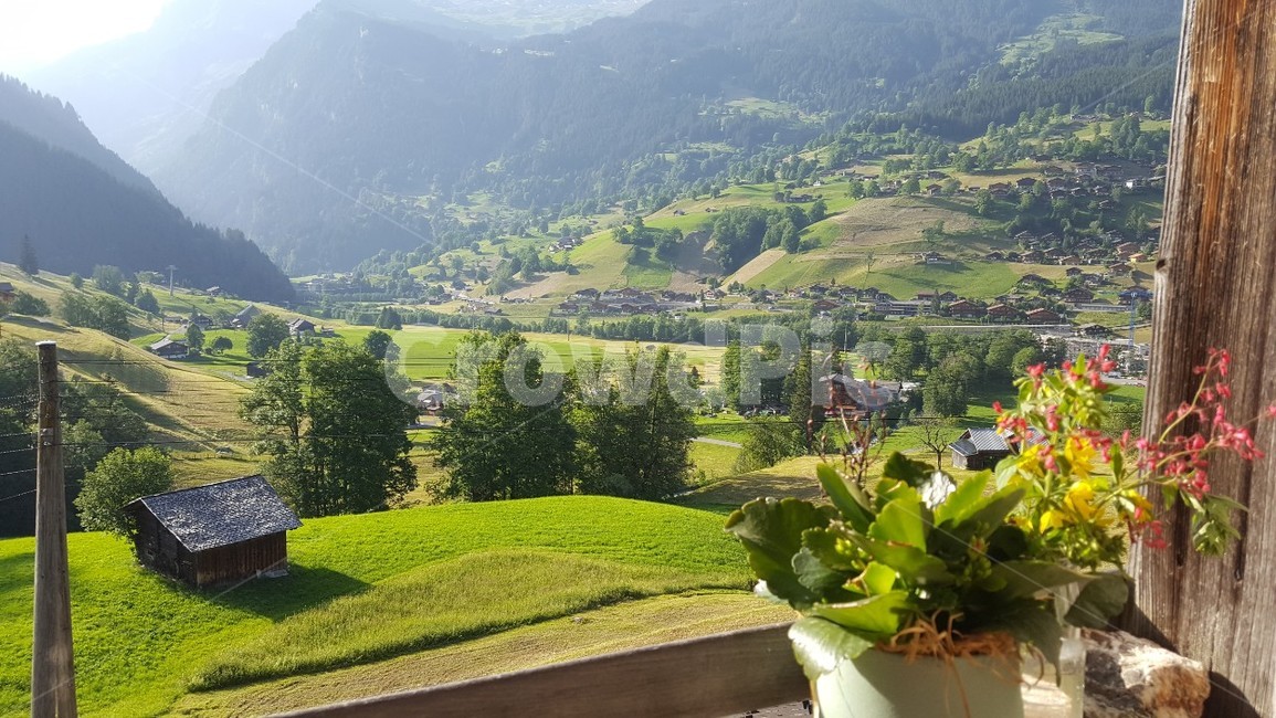 스위스,그린델발트,자연,풍경,swiss,swiss,세계자연풍경,해외자연풍경,외국자연풍경,world nature landscape