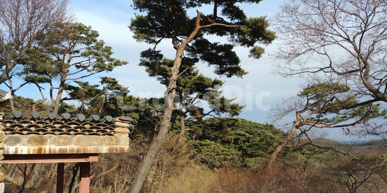 강화도절,절풍경,문화유산,강화도,전통,종교,유산,한국