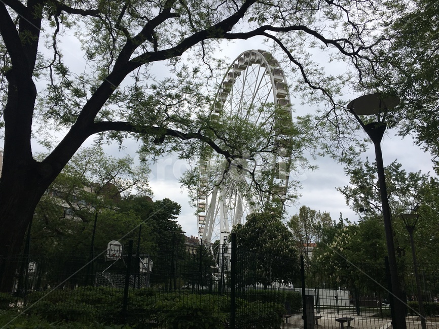 공원,헝가리,부다페스트,관람차,park