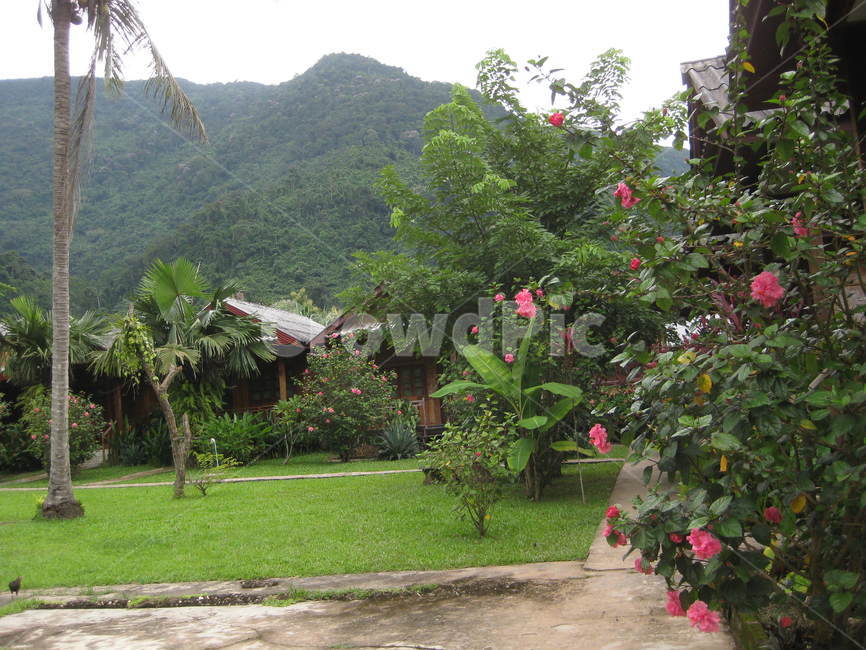 시골,rural,동남아,자연,nature,green,초록색,그린,꽃,flower,정원,garden,산,mountain