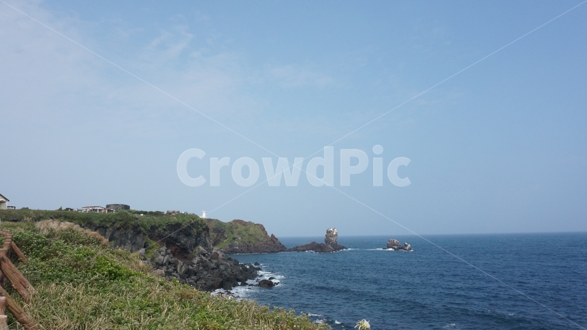 바다,자연,새,숲,수목원,자연,풍경,nature,landscape,promontory,곶