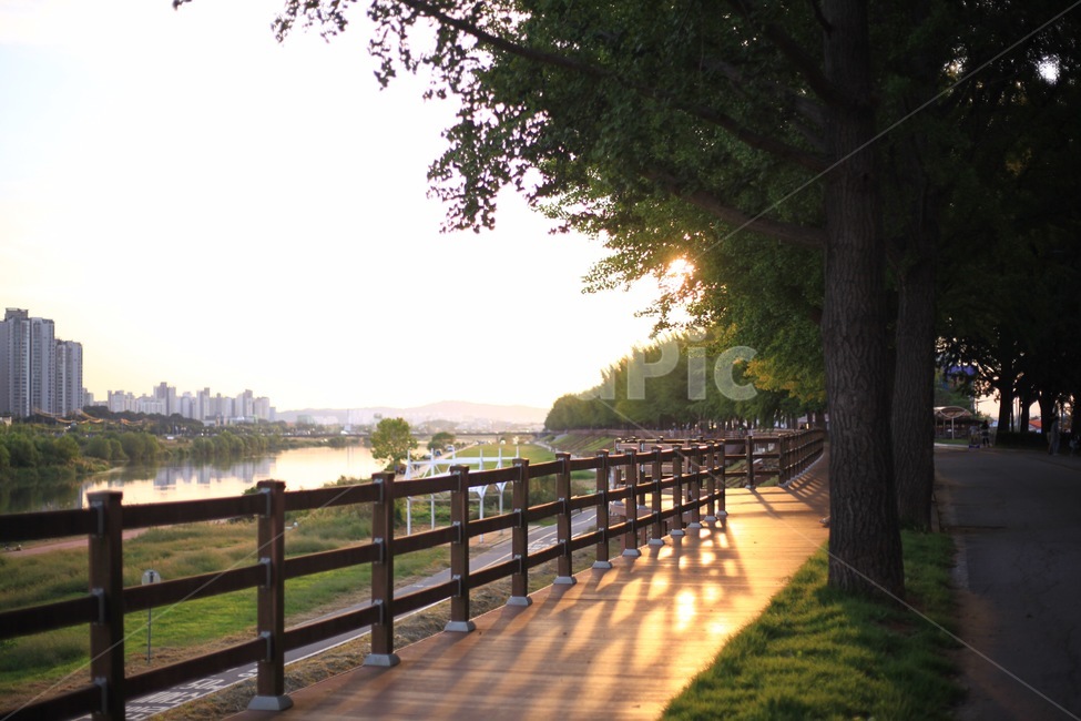 그림자,나무,울타리,아파트,건물,풀,식물,자연,자연,풍경,nature,landscape,railing,난간,handrail,banister,boardwalk,산책로,bridge,다리,building
