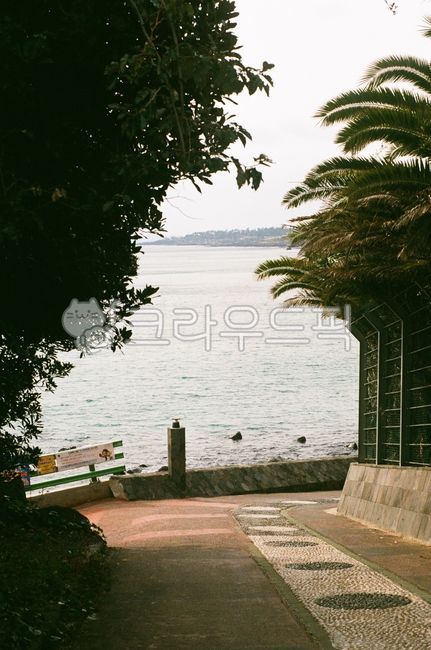 sky,nature,Jeju,jeju island,film,water,cloud,outdoor,Pilka,outdoors,ocean,jeju,Wallpapers,filmcamera,film camera