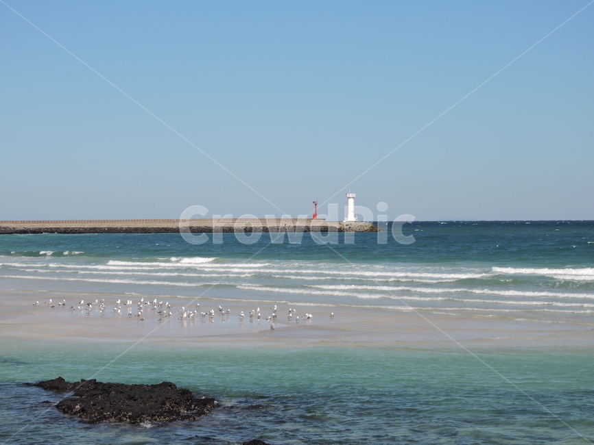 등대,바다,해변,새,파도,등대,lighthouse