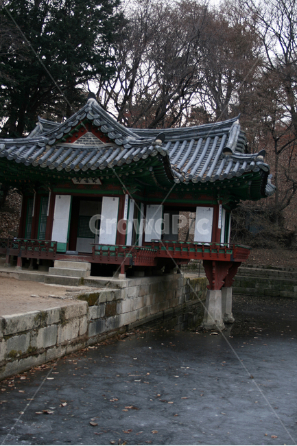 창덕궁,후원,부용정,부용지,세계문화유산,문화유산,한국,한국전통,한국문화,korean traditional,korean culture,랜드마크,landmark,tourist attraction,한국랜드마크,한국관광지,한국명소,korea landmark,korea tourist attraction