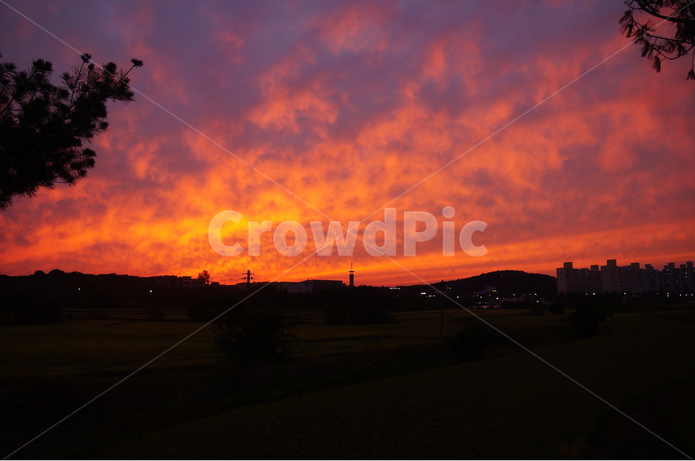 자연,nature,석양,하늘,sky,빨간색,붉은하늘,붉은노을,들판,outdoor,들,자연,풍경,nature,landscape,outdoors,옥외,dusk,황혼,sunset,일몰,dawn,새벽,red sky,붉은 하늘