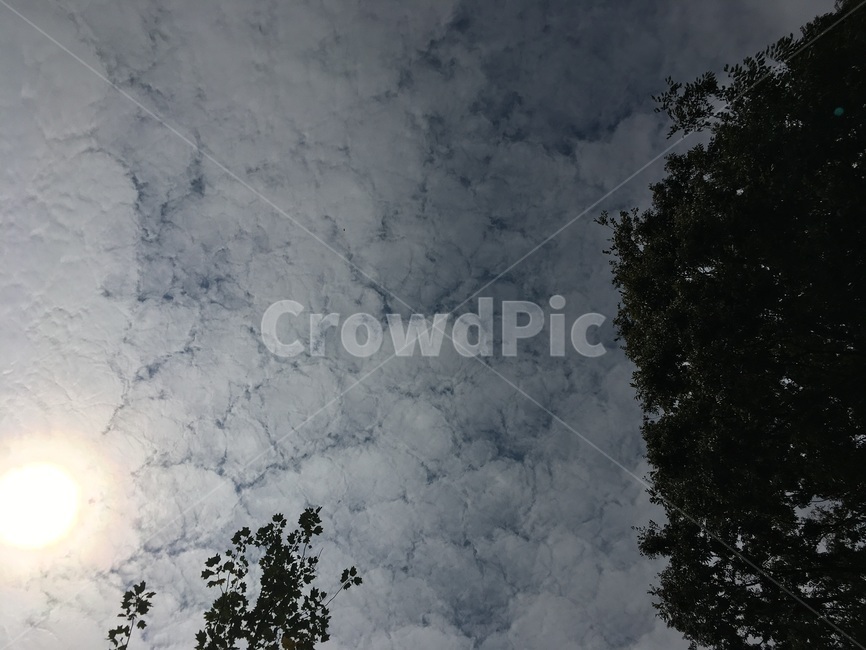 nature,자연,weather,날씨,outdoors,옥외,하늘,햇빛