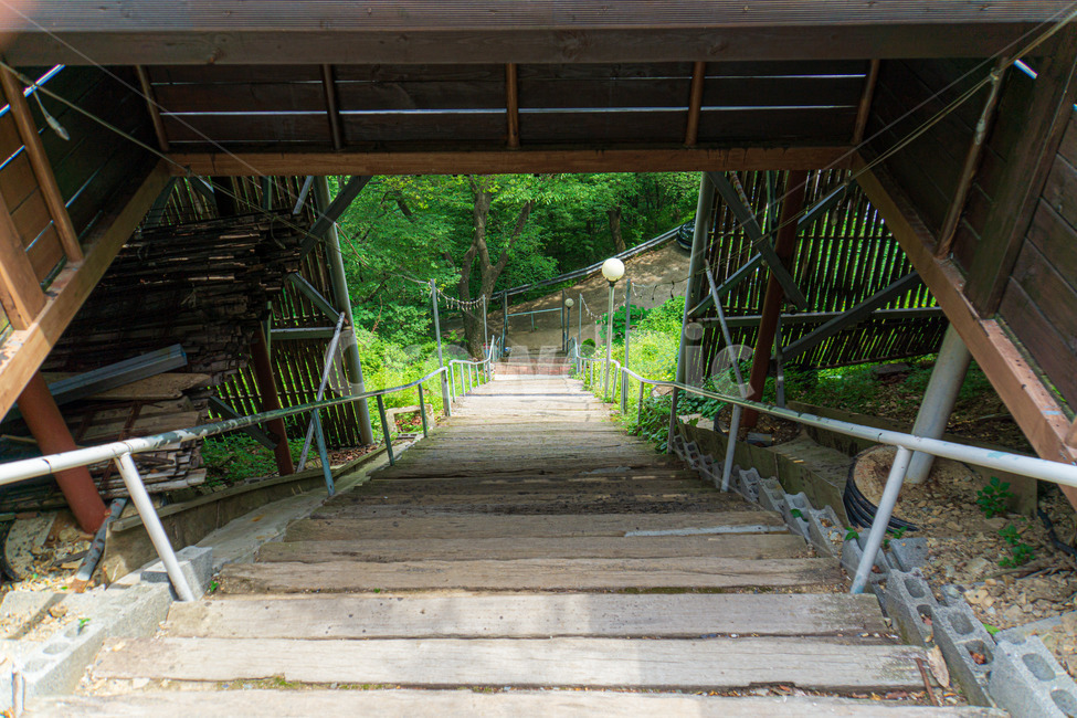 계단,경사로,입구,나무,돌,운동,등산,stairs,anincline,entrance,tree,exercise,stone,hiking