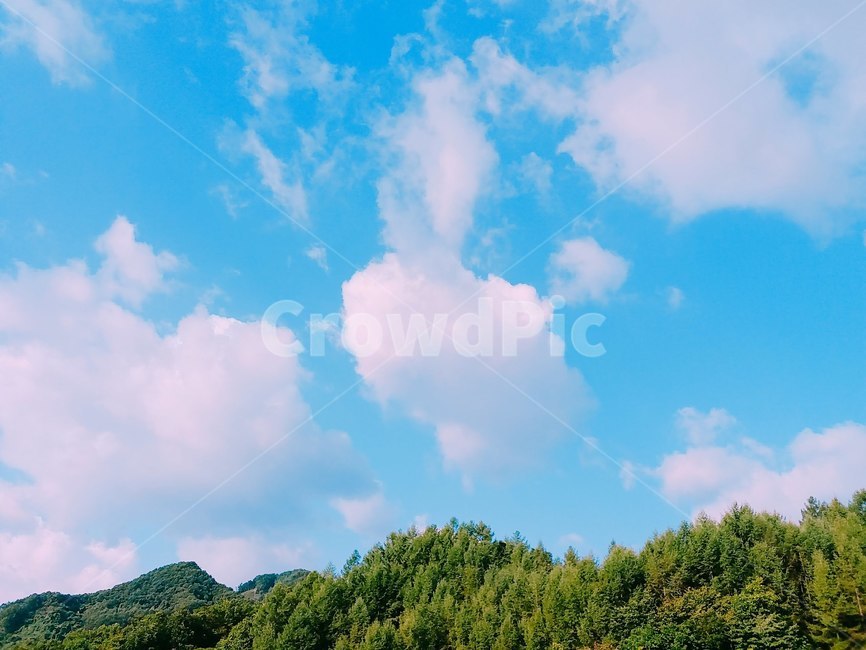 nature,자연,weather,날씨,sky,하늘,cloud,구름,cumulus,가을하늘,자연,풍경,nature,landscape