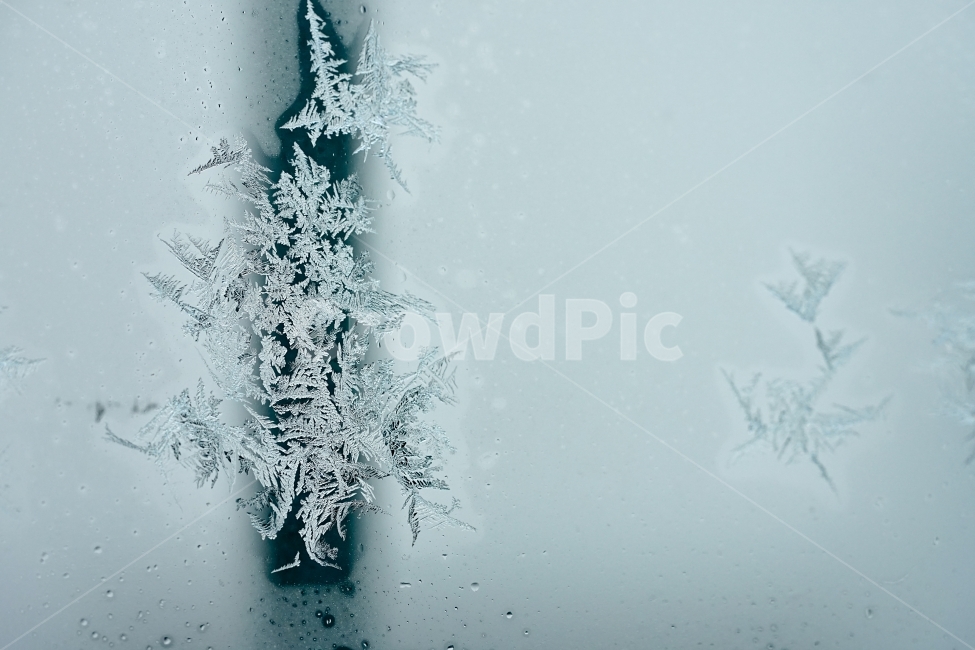 눈,스노우,접사,겨울,추위,얼음,느낌,감성,감성사진,접사사진,snow,결정,물,신비,자연,계절,겨울,계절,winter,season