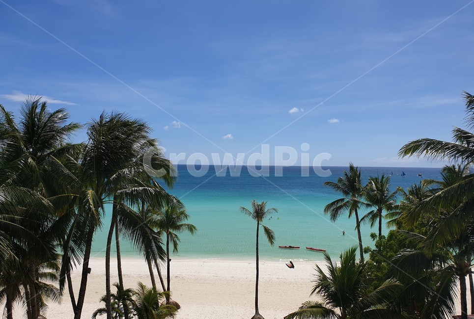 화이트비치,바다,야자수,sea,tree,해변,바다,beach,sea