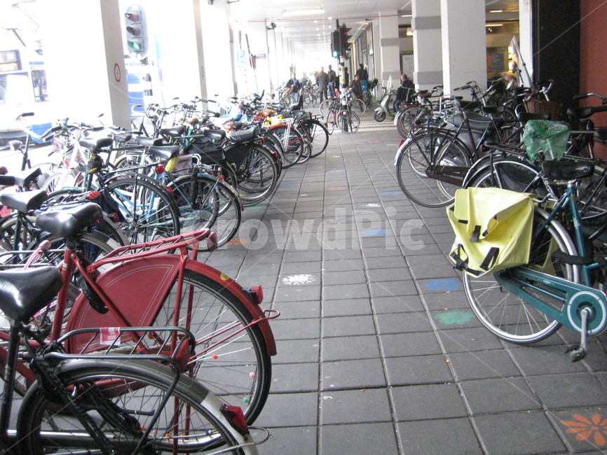 outdoors,nature,자연,야외,풍경,scenery,주차장,bike,자전거,vehicle,transportation,교통,bicycle,wheel,바퀴