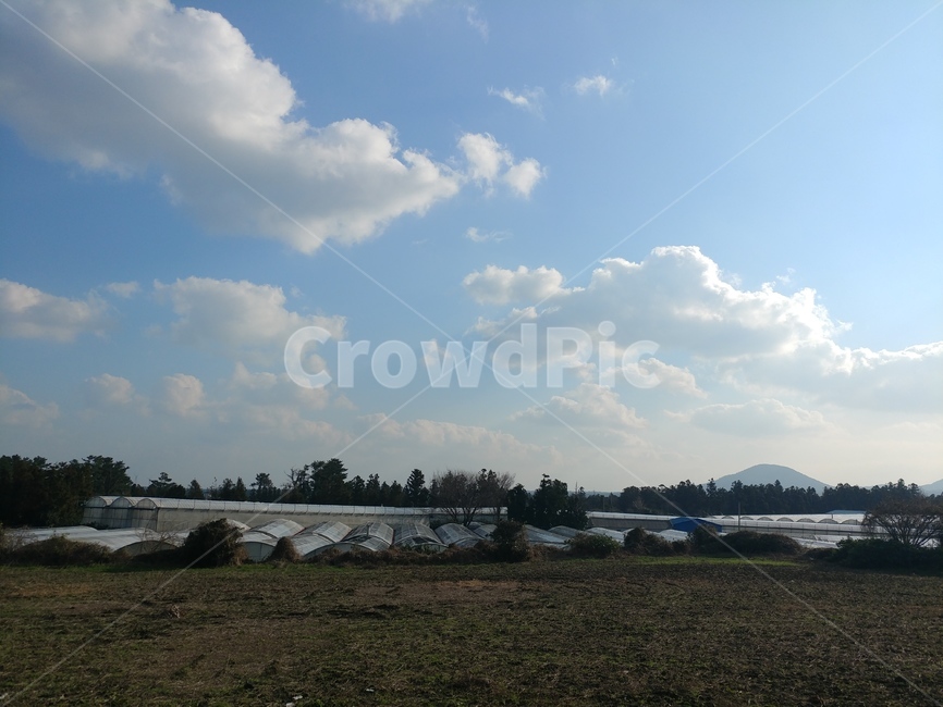 제주도,시골길,비닐하우스,풍경,밭,시골,마을,풍경,landscape,country,rural,town