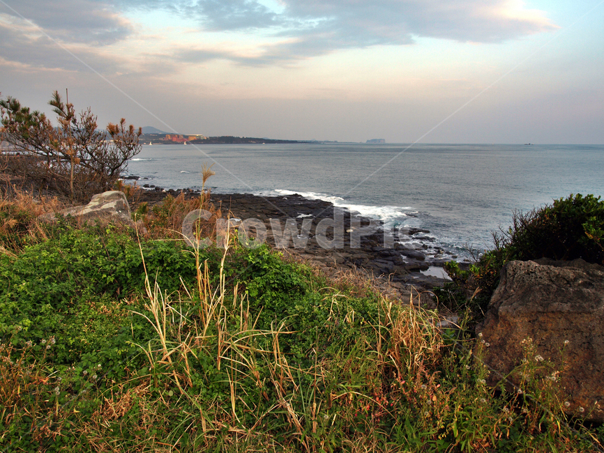 올레8코스,올레길,제주,서귀포시,도로,일몰,바다,자연,풍경,nature,landscape,제주도,jeju,jeju island,promontory,곶,outdoors,옥외,land,땅,water,물,shoreline,해안선,ocean,대양,sea