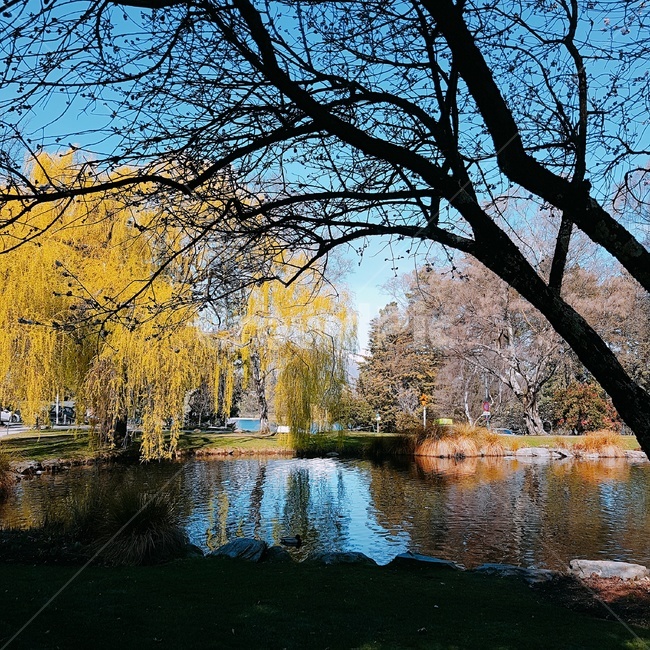 퀸스타운,뉴질랜드,풍경,경치,와카티푸,호수,자연,예쁜,하늘,sky,newzealand,landscape,lake,nature,나무,tree,pond,연못