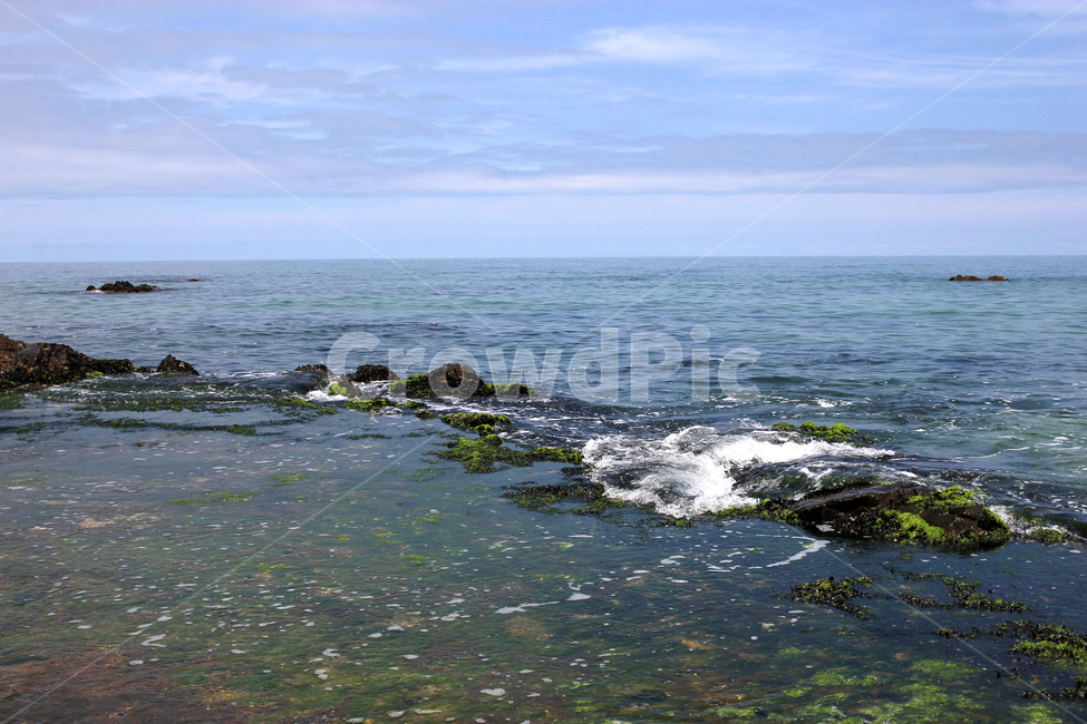 동해바다,바다,파도,동해시,바위,자연,풍경,nature,landscape,sea,outdoors,옥외,ocean,대양,water,물,promontory,곶
