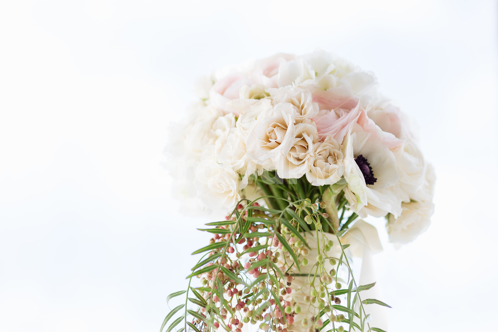 꽃,장미,식물,부케,꽃다발,flower,bouquet,white,rose,꽃,flower,기념일,축하,anniversary,congratulation,celebrate,celebration