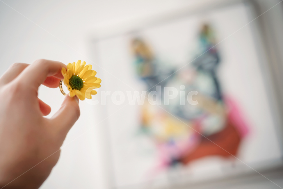 꽃,꽃반지,감성사진,노랑꽃,악세사리,꽃,flower,감성,sensible,feeling,사물,물건,오브젝트,thing,object,matter