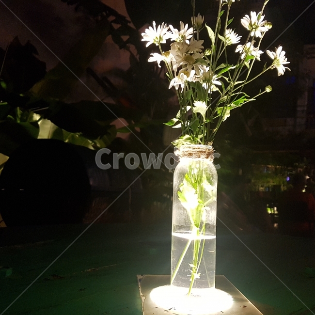 꽃,화병,야간조명,예쁜바,분위기좋은,식물,자연,plants,nature,꽃,flower